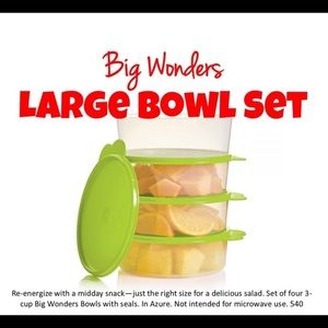 COPY - Tupperware big wonders bowls
